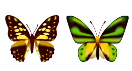 可爱的蝴蝶PNG图标